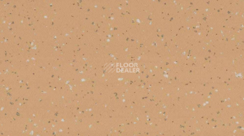 Линолеум Taralay Premium Compact Indiana 8262 RODRIGUES фото 1 | FLOORDEALER